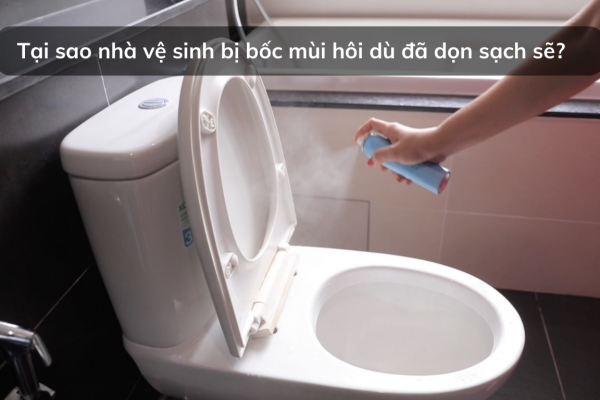 Tại sao nhà vệ sinh bị bốc mùi hôi dù đã dọn sạch sẽ?